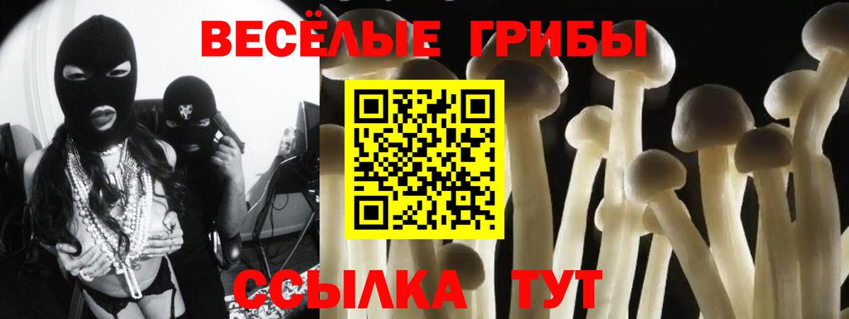 Псилоцибиновые грибы MAGIC MUSHROOMS  Псилоцибиновые грибы MAGIC MUSHROOMS  Вязники  Вход с VPN 
